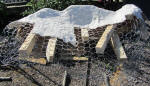 WILD TO WALL - ROCK IN PROCESS
