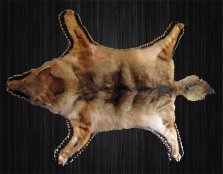 WILD TO WALL - COYOTE RUG
