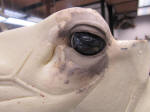 WILD TO WALL - EYE CLAY