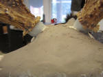 WILD TO WALL - CLAY ON SKULL